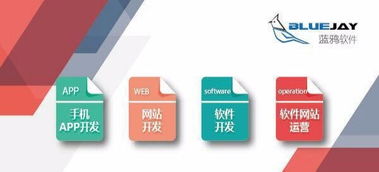 昆明軟件開發(fā)與App開發(fā) 專業(yè)技術驅動的創(chuàng)新之道